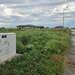 Frumusani, loturi casa 529 mp, 1.205 mp, gaz, curent, 15 min. Bucuresti